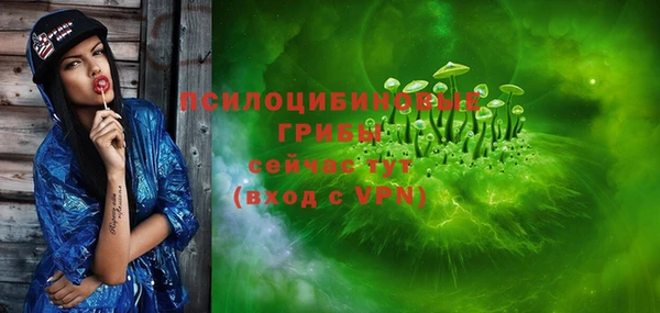 ПСИЛОЦИБИНОВЫЕ ГРИБЫ Балабаново